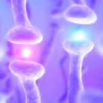 Functional medicine views the body as an interconnected system, where imbalance in one area can affect others